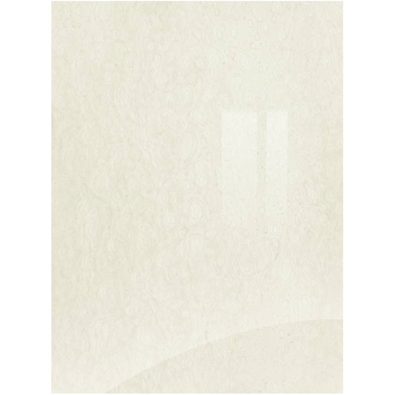 Zurfiz Ultragloss Moonstone Sample Door